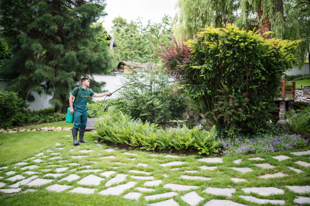 Best Best Pest Control Companies  in Chisholm, ME
