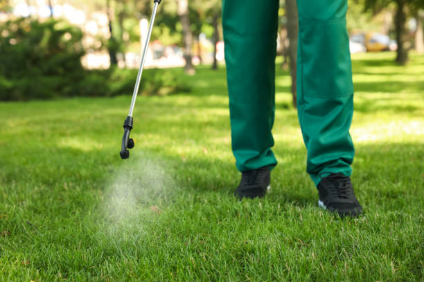 Best Pest Prevention Services  in Chisholm, ME
