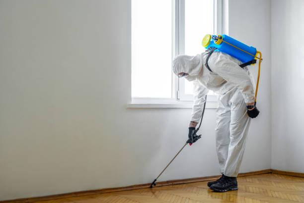 Best Affordable Pest Control Services  in Chisholm, ME