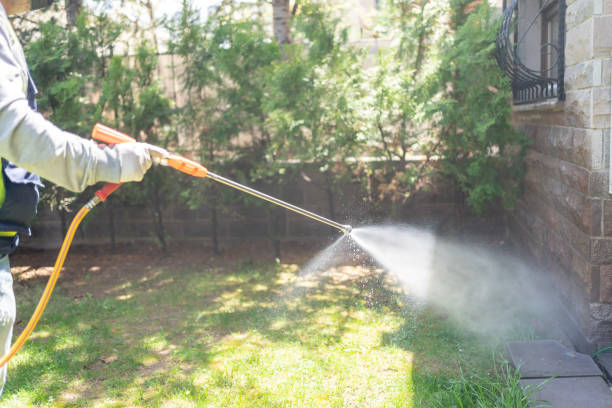 Best Rat Extermination Near Me  in Chisholm, ME