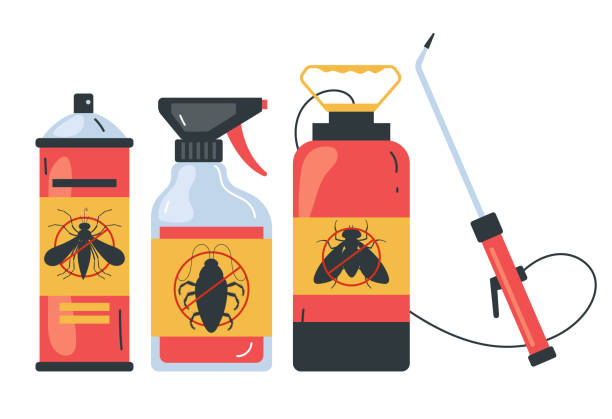 Best Bed Bug Extermination  in Chisholm, ME